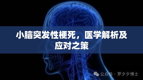 小腦突發(fā)性梗死，醫(yī)學解析及應對之策