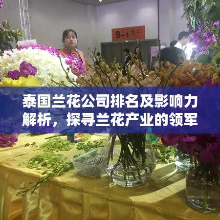 泰國(guó)蘭花公司排名及影響力解析，探尋蘭花產(chǎn)業(yè)的領(lǐng)軍者