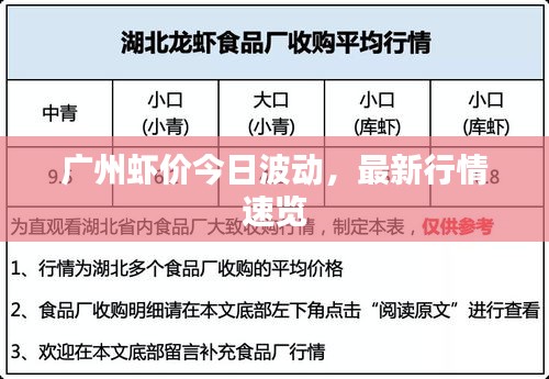 廣州蝦價今日波動，最新行情速覽