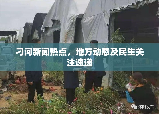 刁河新聞熱點(diǎn)，地方動(dòng)態(tài)及民生關(guān)注速遞