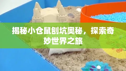 綱舉目張 第2頁(yè)
