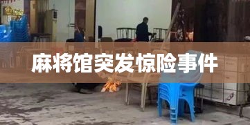 衣不兼采 第2頁(yè)