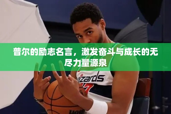 普爾的勵(lì)志名言，激發(fā)奮斗與成長的無盡力量源泉