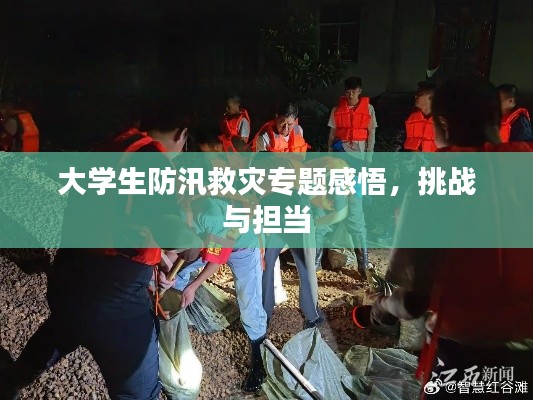 大學生防汛救災專題感悟，挑戰(zhàn)與擔當