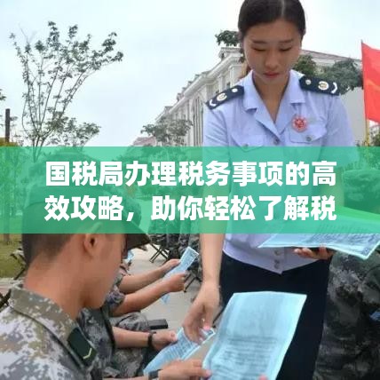 國稅局辦理稅務(wù)事項的高效攻略，助你輕松了解稅務(wù)流程