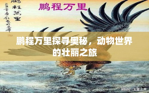 鵬程萬里探尋奧秘，動物世界的壯麗之旅