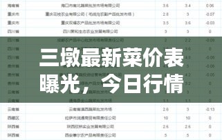 三墩最新菜價表曝光，今日行情，不容錯過！