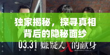 獨家揭秘，探尋真相背后的隱秘面紗
