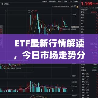 ETF最新行情解讀，今日市場走勢分析