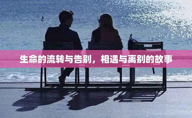 生命的流轉(zhuǎn)與告別，相遇與離別的故事