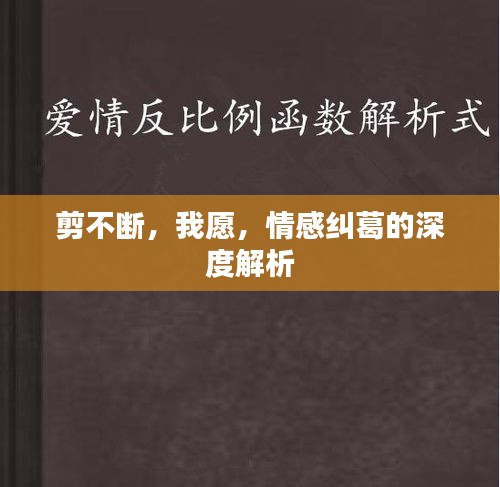 剪不斷，我愿，情感糾葛的深度解析