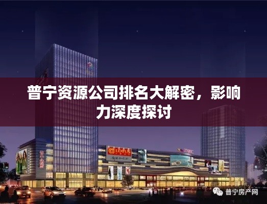 普寧資源公司排名大解密，影響力深度探討