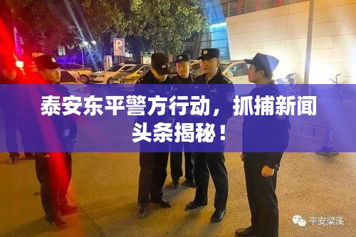 泰安東平警方行動(dòng)，抓捕新聞?lì)^條揭秘！