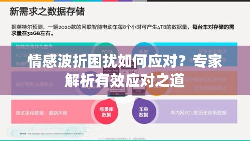 情感波折困擾如何應(yīng)對？專家解析有效應(yīng)對之道