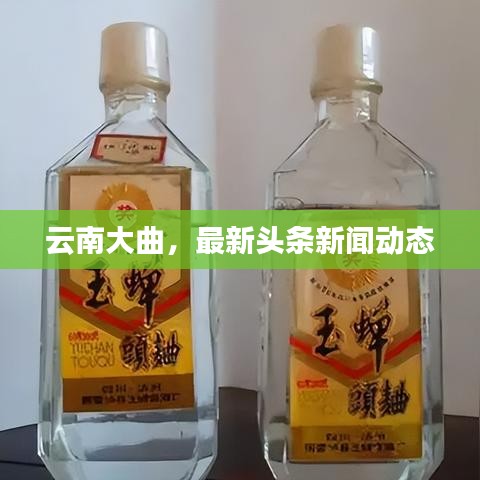 云南大曲，最新頭條新聞動態(tài)