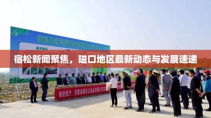 宿松新聞聚焦，隘口地區(qū)最新動態(tài)與發(fā)展速遞