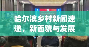 哈爾濱鄉(xiāng)村新聞速遞，新面貌與發(fā)展活力展現(xiàn)