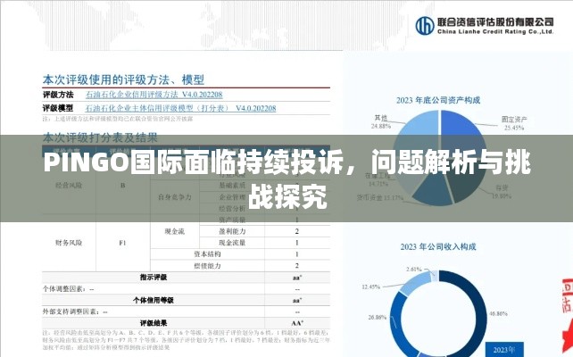 PINGO國際面臨持續(xù)投訴，問題解析與挑戰(zhàn)探究