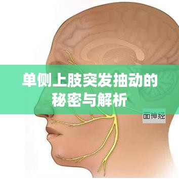 心慌意亂 第2頁