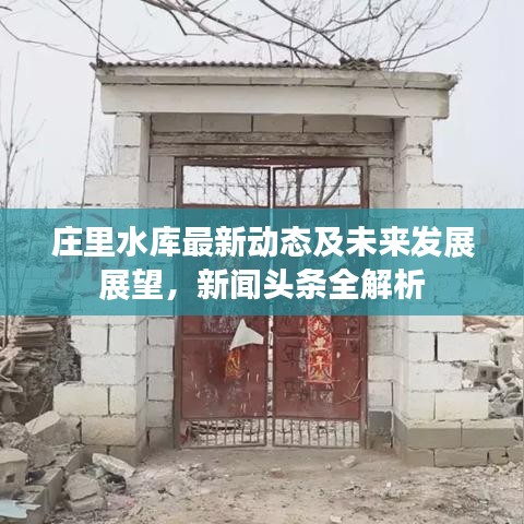 莊里水庫(kù)最新動(dòng)態(tài)及未來(lái)發(fā)展展望，新聞?lì)^條全解析