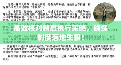 高效核對(duì)制度執(zhí)行策略，確保制度落地生根！
