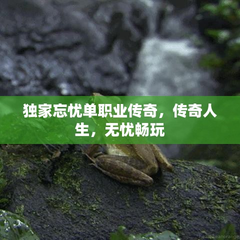 獨家忘憂單職業(yè)傳奇，傳奇人生，無憂暢玩
