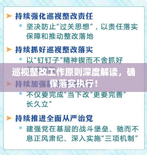 巡視整改工作原則深度解讀，確保落實執(zhí)行！