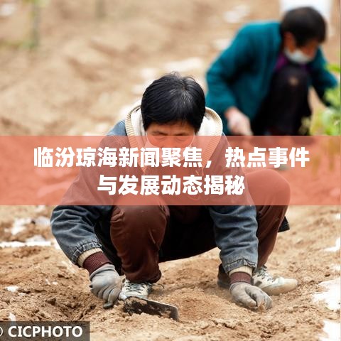 臨汾瓊海新聞聚焦，熱點事件與發(fā)展動態(tài)揭秘