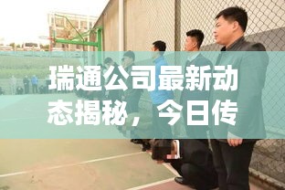 瑞通公司最新動態(tài)揭秘，今日傳聞一網(wǎng)打盡！