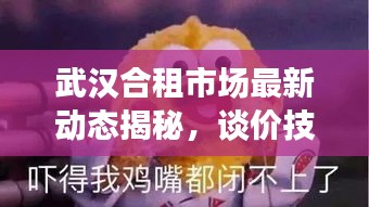 武漢合租市場(chǎng)最新動(dòng)態(tài)揭秘，談價(jià)技巧與租房攻略分享