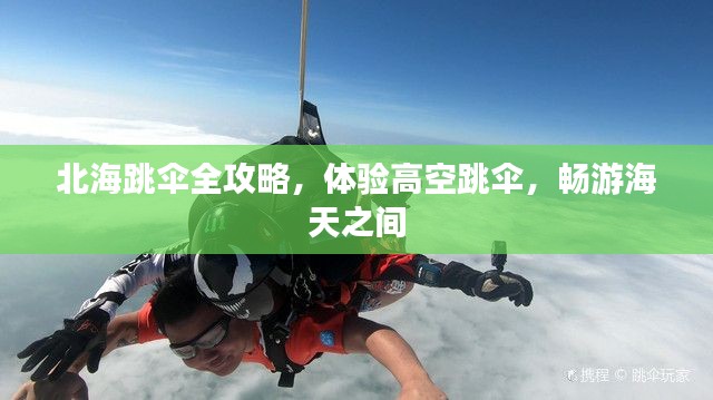 北海跳傘全攻略，體驗(yàn)高空跳傘，暢游海天之間