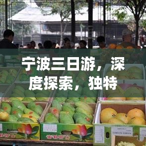 寧波三日游，深度探索，獨(dú)特體驗(yàn)之旅