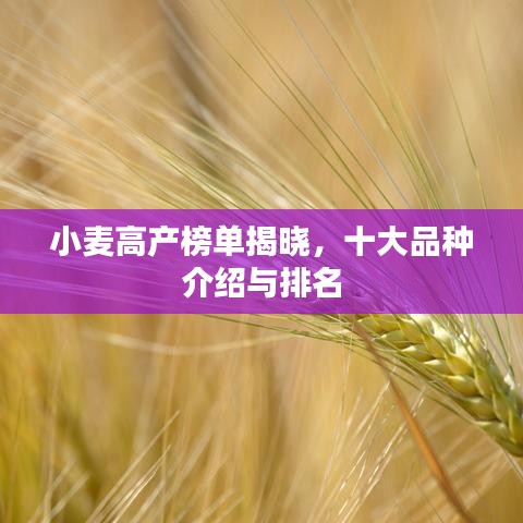 韋編三絕 第2頁