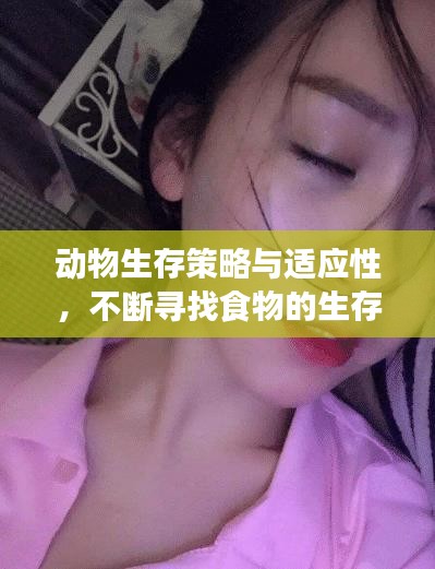 動物生存策略與適應性，不斷尋找食物的生存之道