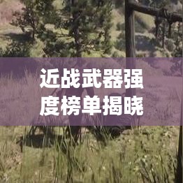 近戰(zhàn)武器強(qiáng)度榜單揭曉，前十名武器實(shí)力比拼！