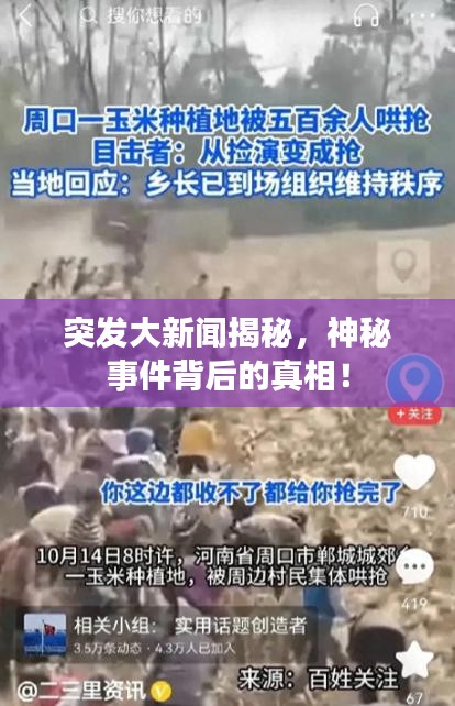 突發(fā)大新聞揭秘，神秘事件背后的真相！
