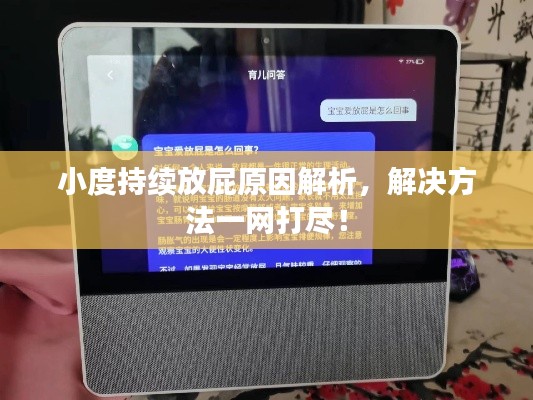 小度持續(xù)放屁原因解析，解決方法一網(wǎng)打盡！