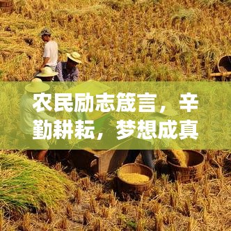 農(nóng)民勵志箴言，辛勤耕耘，夢想成真時刻