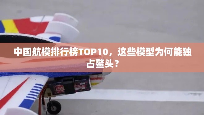 中國(guó)航模排行榜TOP10，這些模型為何能獨(dú)占鰲頭？