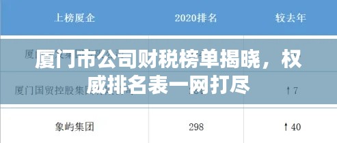 廈門市公司財(cái)稅榜單揭曉，權(quán)威排名表一網(wǎng)打盡