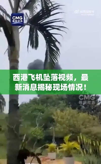 西港飛機(jī)墜落視頻，最新消息揭秘現(xiàn)場情況！