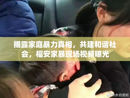 揭露家庭暴力真相，共建和諧社會，福安家暴現(xiàn)場視頻曝光