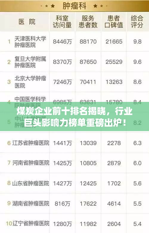 煤炭企業(yè)前十排名揭曉，行業(yè)巨頭影響力榜單重磅出爐！