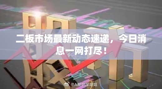 二板市場最新動態(tài)速遞，今日消息一網(wǎng)打盡！
