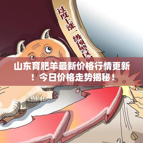 山東育肥羊最新價格行情更新！今日價格走勢揭秘！