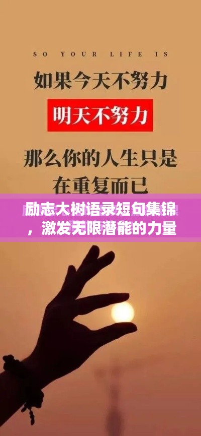 勵(lì)志大樹(shù)語(yǔ)錄短句集錦，激發(fā)無(wú)限潛能的力量之語(yǔ)