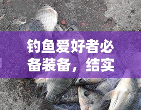 釣魚愛好者必備裝備，結(jié)實不斷的釣竿，讓你輕松釣上大魚！