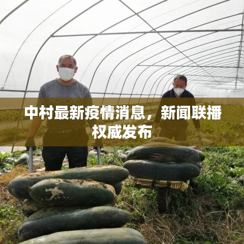 中村最新疫情消息，新聞聯(lián)播權(quán)威發(fā)布