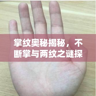 掌紋奧秘揭秘，不斷掌與兩紋之謎探秘