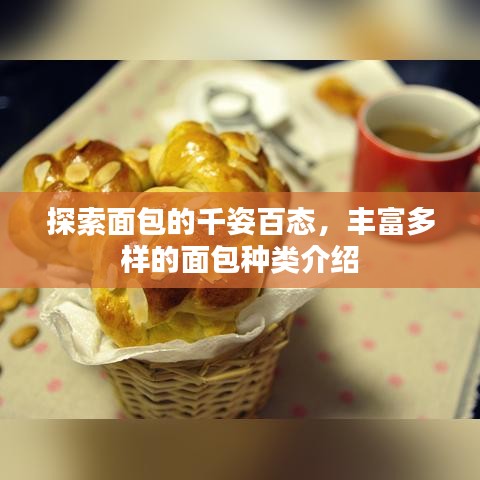 探索面包的千姿百態(tài)，豐富多樣的面包種類介紹